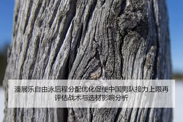 pan-zhan-le-zi-you-yong-hou-cheng-fen-pei-you-hua-cu-shi-zhong-guo-nan-dui-jie-li-shang-xian-zai-ping-gu-zhan-shu-yu-2-304.jpg