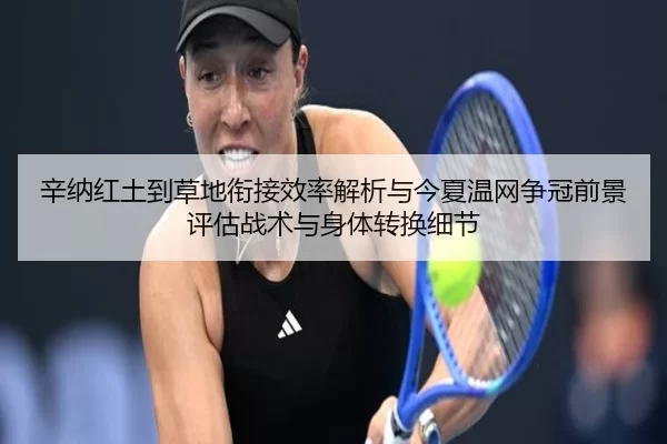 xin-na-hong-tu-dao-cao-di-xian-jie-xiao-lv-jie-xi-yu-jin-xia-wen-wang-zheng-guan-qian-jing-ping-gu-zhan-shu-yu-shen-ti-2-137.jpg